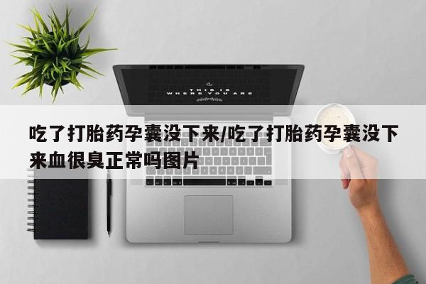 米索前列醇在线下单吃了打胎药孕囊没下来/吃了打胎药孕囊没下来血很臭正常吗图片